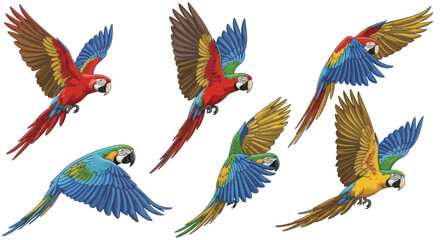 Obraz premium Vibrant Macaw Parrots Flying in Different Poses, Tropical Birds Collection