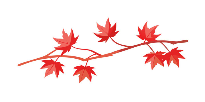 red maple leaves