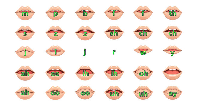 Phonetic Alphabet Lips - Mouth Shapes for Speech Sounds
