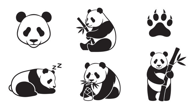 Collection of adorable panda bear illustrations in various poses