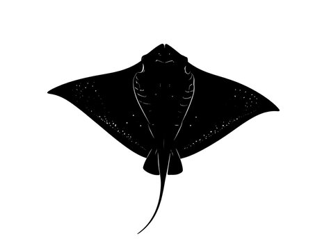 A black silhouette of a stingray with its fins spread wide
