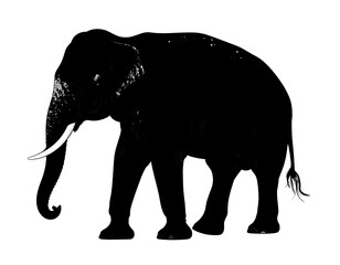 Obraz premium A black silhouette of an elephant with a long tusks