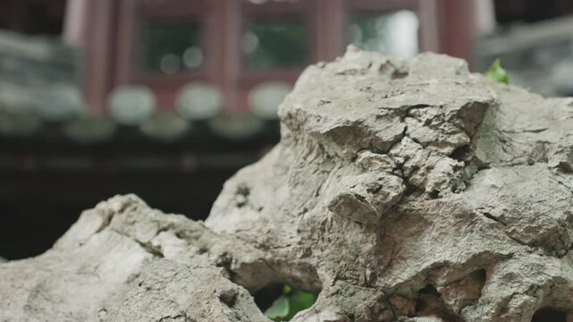 Weathered limestone close up with green leaves, porous surface and hollow cavities, soft bokeh of tiled pavilion in background, delicate leaf veins and shaded crevices, intimate study of texture