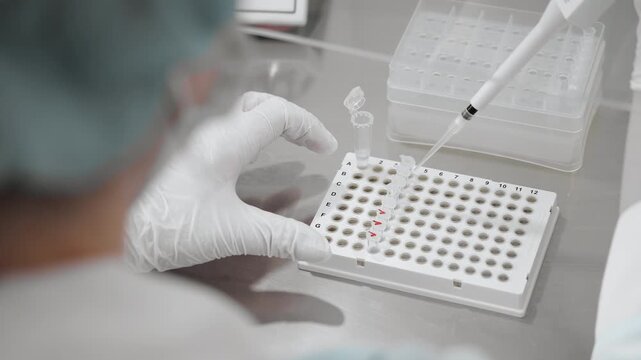 Scientist using pipette to transfer samples into microplate during laboratory testing process in clinical lab environment with medical research and diagnostics.
