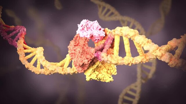 Mismatched genes cannot be repaired, gene replication errors occur, genetics. Gene chain mutations lead to tumor cell proliferation and mutated DNA, molecular biotechnology. Immunotherapy 3D animation