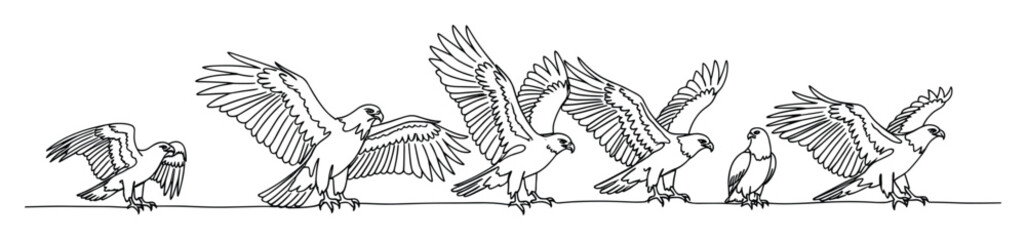 Fototapeta premium Dynamic sequence of predatory birds in continuous line drawing style depicting motion and flight for nature education or wildlife conservation projects
