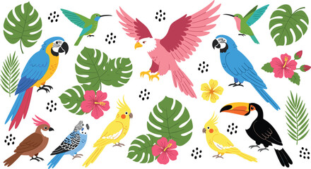 Obraz premium Tropical Bird Vector Collection with Parrots, Cockatoos, Hummingbirds, Toucans, and Exotic Birds, Surrounded by Tropical Leaves and Flowers for Colorful Nature and Wildlife Illustrations