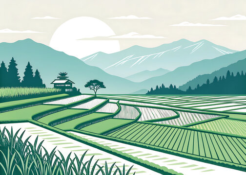 Ziro Valley rice fields pattern minimal vector illustration
