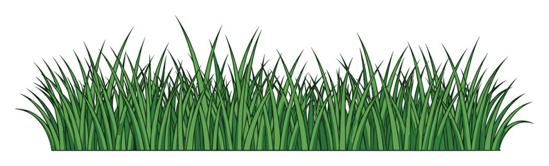 Fototapeta premium Fresh green grass growth serving as a vibrant natural border or ground covering for seasonal landscapes and outdoor themed projects