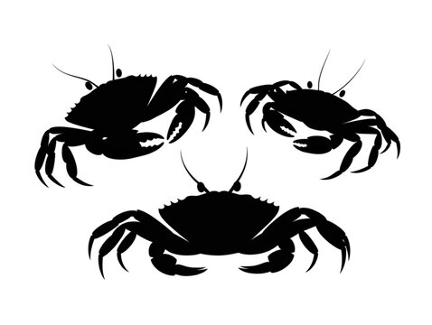 Crab silhouette vector collection featuring sea animal icons, shellfish graphics, and aquatic wildlife isolated on white