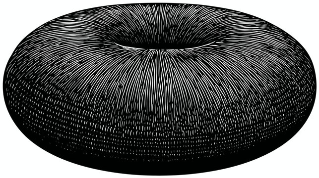A monochrome illustration of a toroid with white linear texture on black background