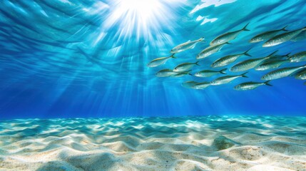 Obraz premium Underwater Scene with Schools of Fish Swimming Through Crystal Clear Blue Ocean Water and Sunlight Rays