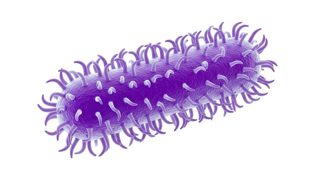 3D render of a purple bacillus bacterium with fimbriae