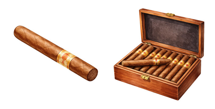 Watercolor cigar collection illustration, single cigar and wooden cigar box isolated on white background.