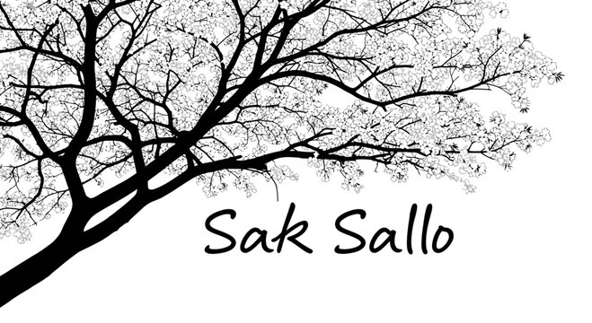 bare tree branch with sak sallo text