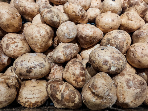Fresh jicama neatly arranged on the shelves in one of the malls.