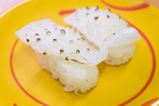 炙りやりいかのにぎり寿司