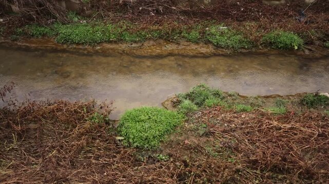 풍경비오는시냇가2(빗방울+개천+하천+자연+개울가+시냇물)