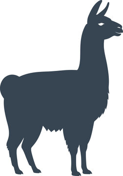 Llama Silhouette Standing