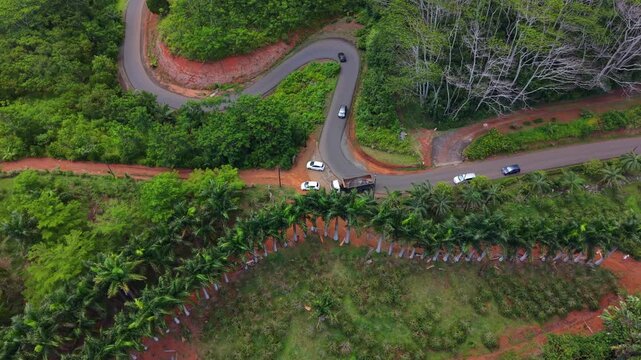 Aerial view captures winding road through lush forest. Red dirt paths split the route. Cars travel smoothly on the curve. Dense tropical trees surround the scene. Ideal for travel or adventure content