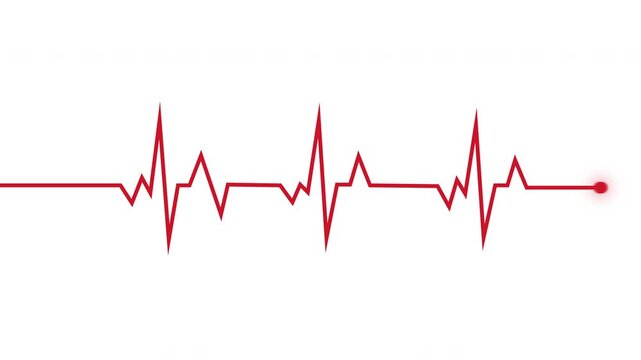 Heartbeat Ecg Monitor Pulse Line Animation Isolated On Black