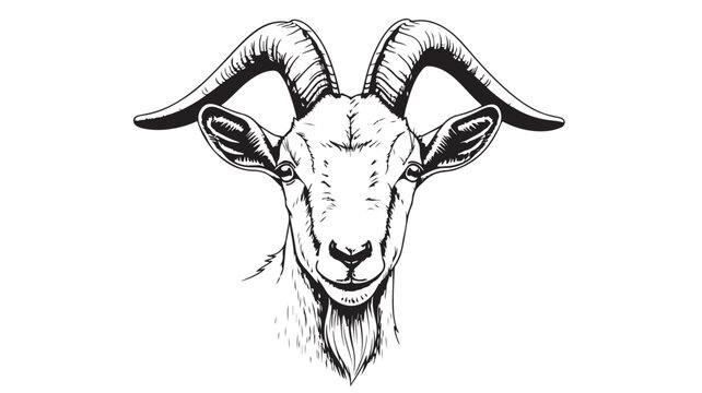Detailed A Rams Head With Curved Horns On White Background For Wildlife And Nature Concepts