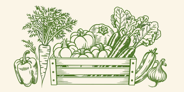 Fresh produce arrangement in a wooden crate botanical illustration silhouette