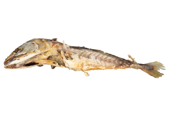 Fried mackerel carcasses on a white background