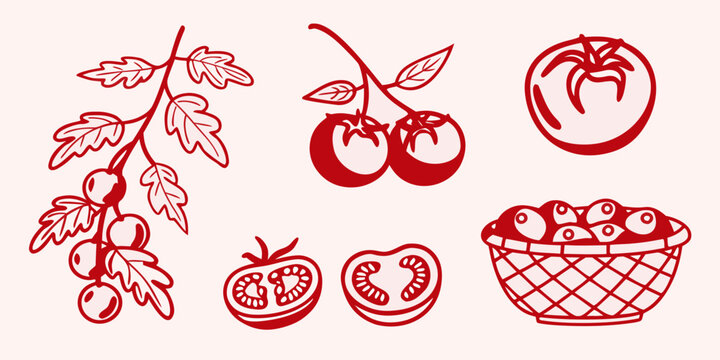Red tomato illustrations with leaves and a basket paper cut silhouette