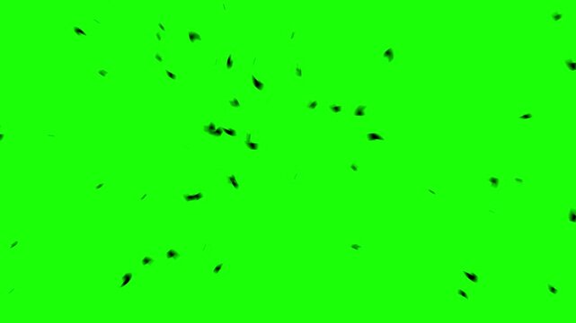 abstract black particles on green screen video. fragments. broken pieces.