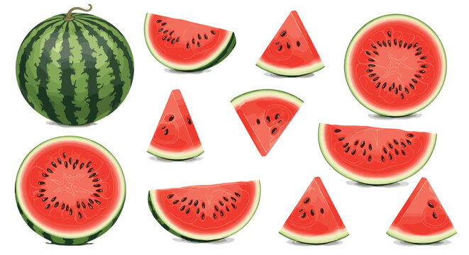 Watermelon Slice and Whole Fruit Collection for Summer, Fruits, and Healthy Eating Graphics
