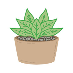 Obraz premium Potted succulent plant with green leaves vector illustration. Hand drawn minimalist flat style succulent icon for home and interior design