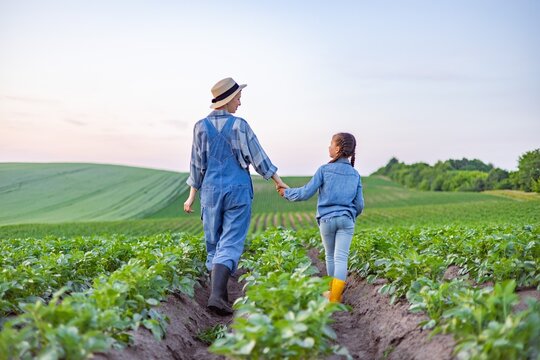 A farmer and a child walk hand-in-hand through a lush green field, symbolizing generational connection and agricultural heritage