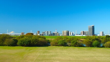 Obraz premium 土手から見る冬の朝のサッカー場のある江戸川河川敷と対岸の三郷中央駅付近の建物風景 (富士山遠景)