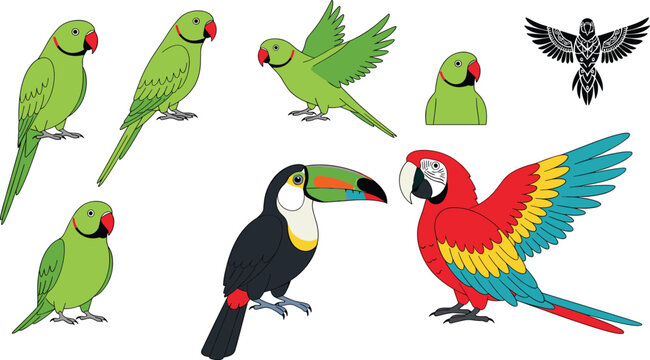 Exotic Tropical Bird Vector Collection with Parrots, Macaws, Toucans, and Colorful Cartoon Birds in Flying, Standing, and Perching Poses for Digital, Educational, and Nature Designs