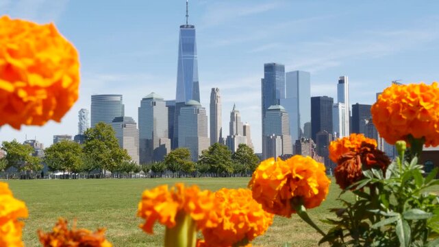 New York City Manhattan Downtown Financial District skyline, World Trade Center tower from New Jersey Liberty state park, United States. Green grass lawn, flowers and skyscraper buildings cityscape.