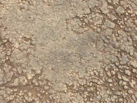 Rough natural stone rock surface texture closeup, bumpy granular earth ground pattern in brown and gray tones, seamless background for graphic design