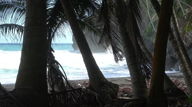 Tropischer schwarzer Sandstrand mit Palmen und Brandung