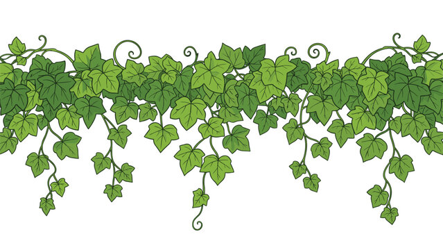 Lush green ivy leaf border with intertwining vines and detailed foliage creating a natural decorative frame element.