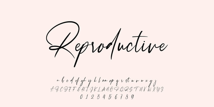 Handwrite signature font Calligraphy Logotype Script Brush Font Type Font lettering handwritten.