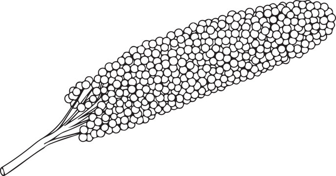 A black and white drawing of a bunch of beads on a string