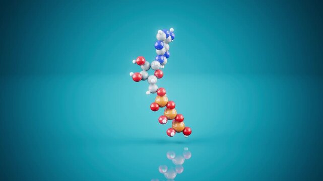 Conceptual 3D animation of an ATP molecule