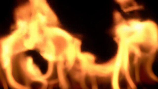 Extreme close-up macro video of vivid, liquid-like, intensely saturated orange, yellow, red flames flickering, swirling on pitch-black background with chiaroscuro lighting. Pure energy concept.