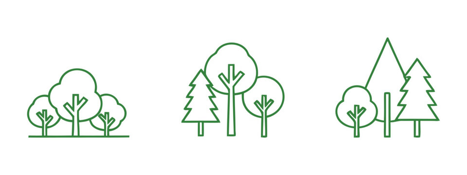 Cfc2022vv tree species identification and classification guide