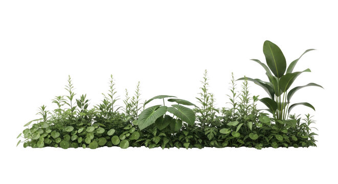 Grass patch background green lawn banner template for nature and garden advertising