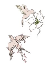Obraz premium Bird and flower relationship concept set minimal line illustration isolated on white