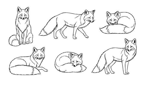 Enchanting fox line art vector set elegant wildlife animal outline illustration collection