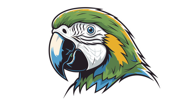 colorful parrot head illustration