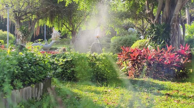 Automatic Irrigation system sprays water over lush tropical plants in public park. Modern garden maintenance uses Automatic Irrigation technology to preserve exotic greenery during sunny summer day.