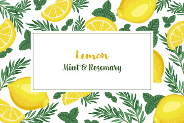 Lemon and mint leaf card background. Rectangular vector hand drawn food illustration for cafe menu and restaurant template. Italian cuisine cartoon rosemary twig drawing for product packaging design. © NadyaSaen 